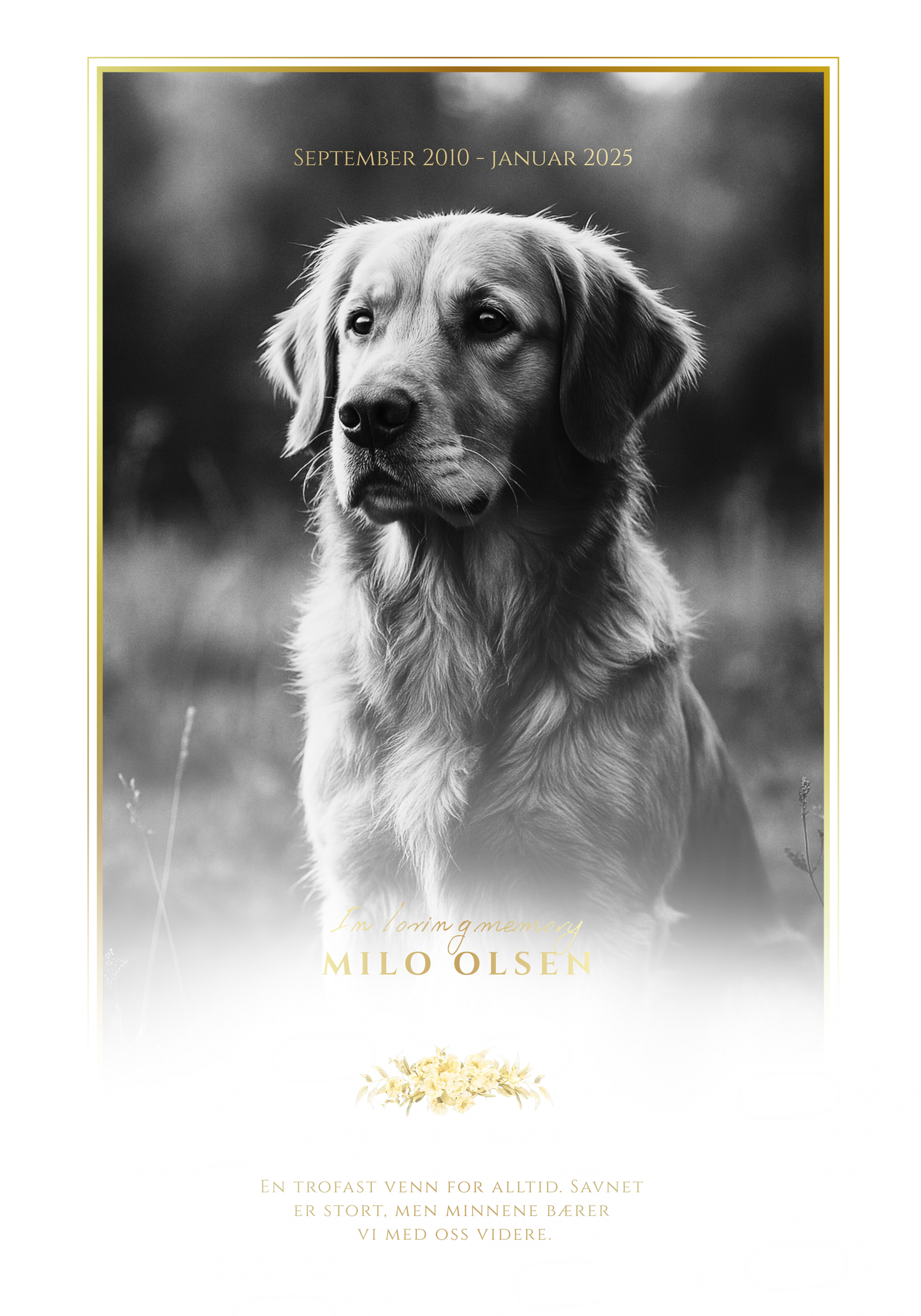 Gravstøtte for ditt kjæledyr i vakkert børstet stål