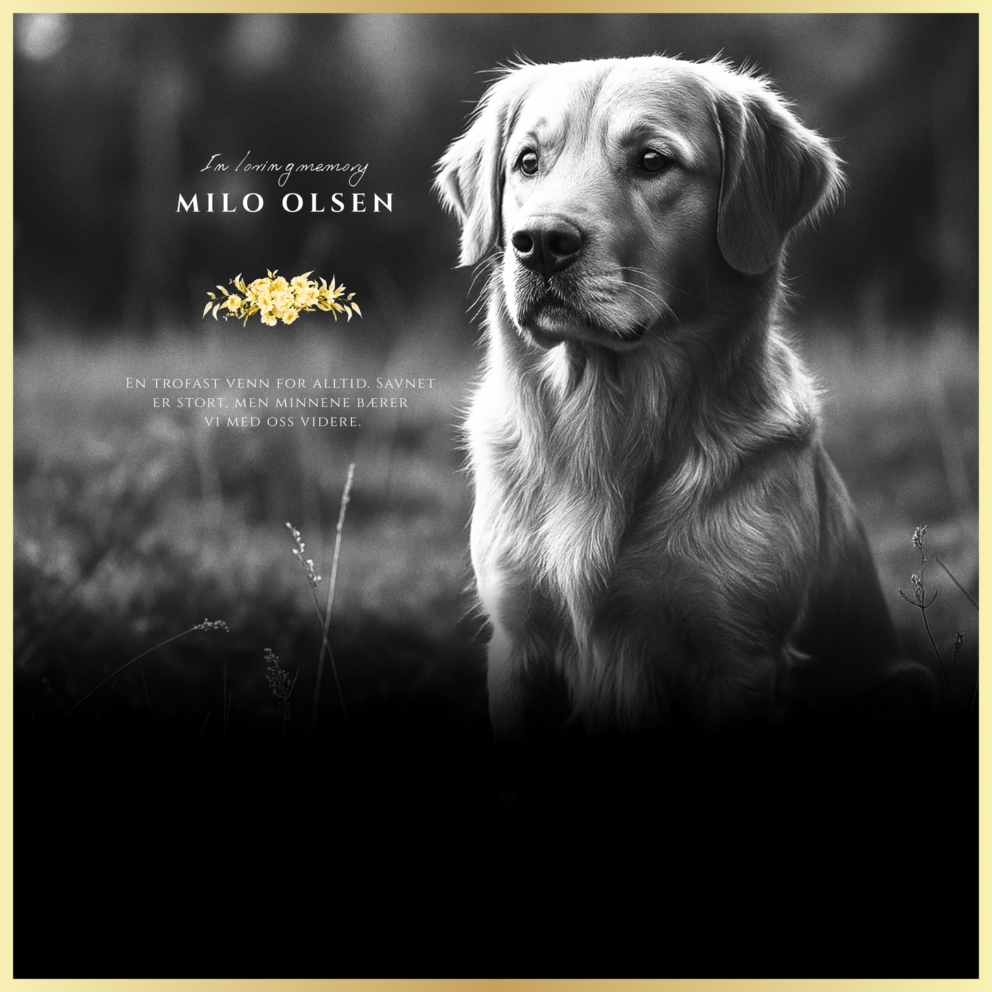 Kjæledyrets gravstøtte i vakkert sort stål