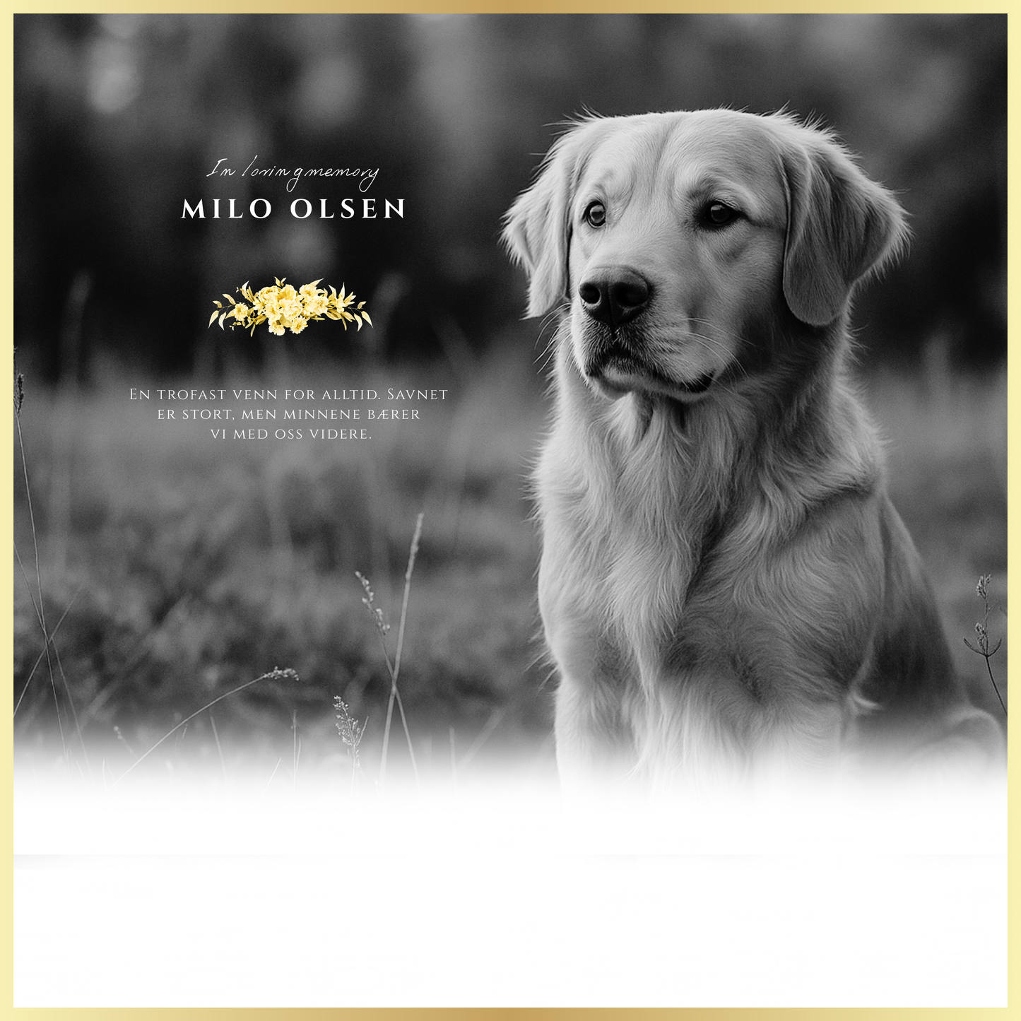 Kjæledyrets gravstøtte i vakkert børstet stål