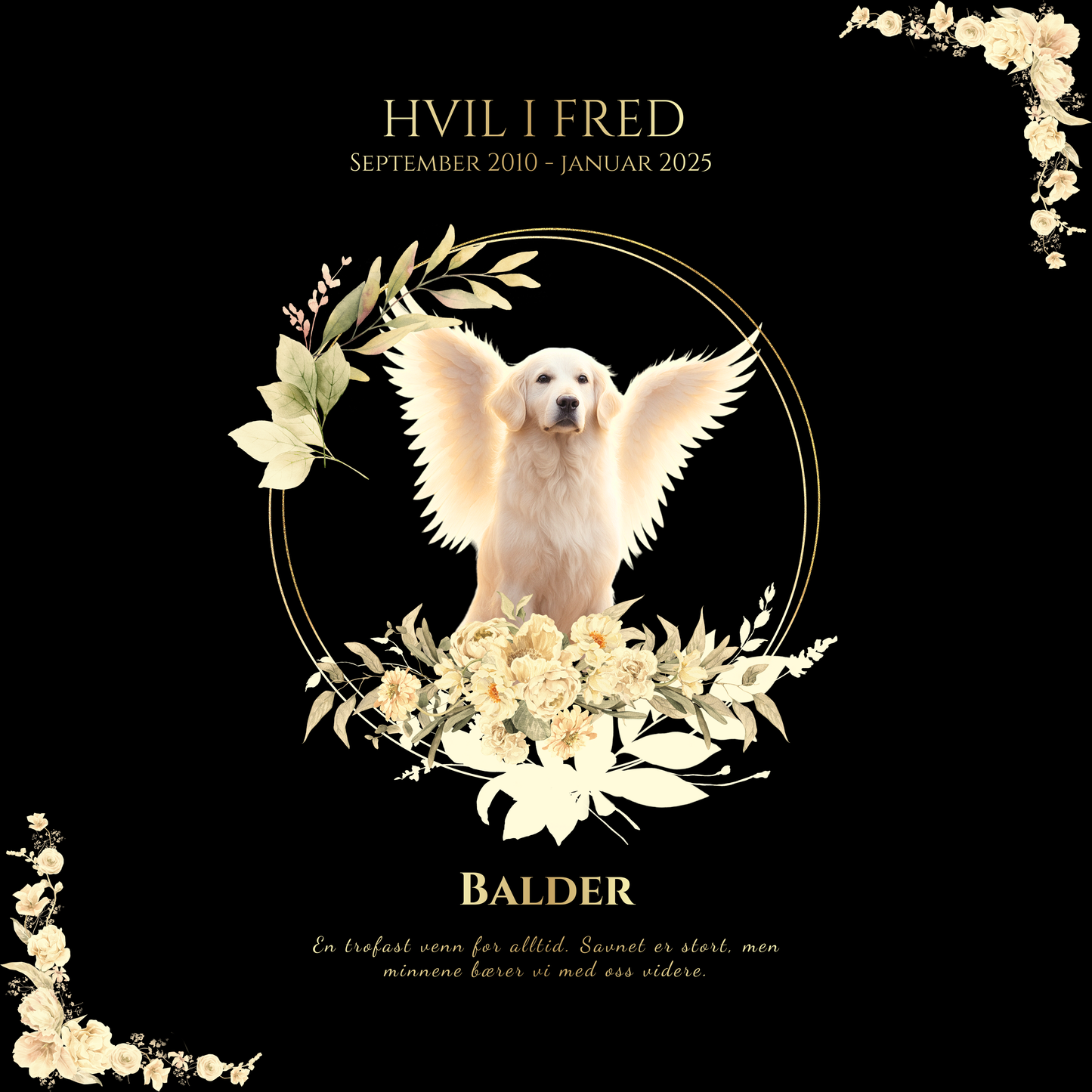 Kjæledyrets gravstøtte i vakkert sort stål