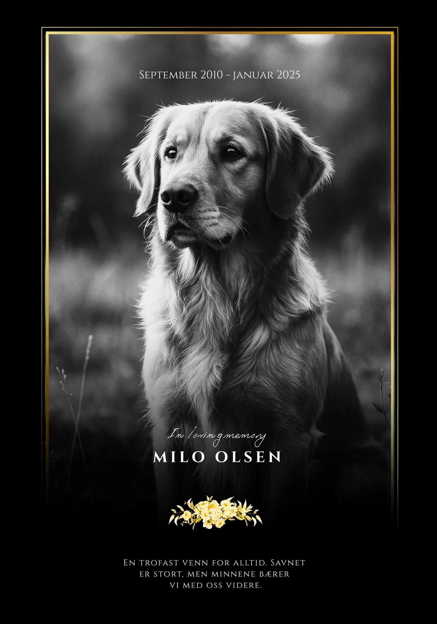 Kjæledyrets vakre gravstøtte i sort stål